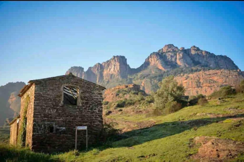 Villa Alisa Avec Piscine Privee Roquebrune-sur Argens Exteriör bild