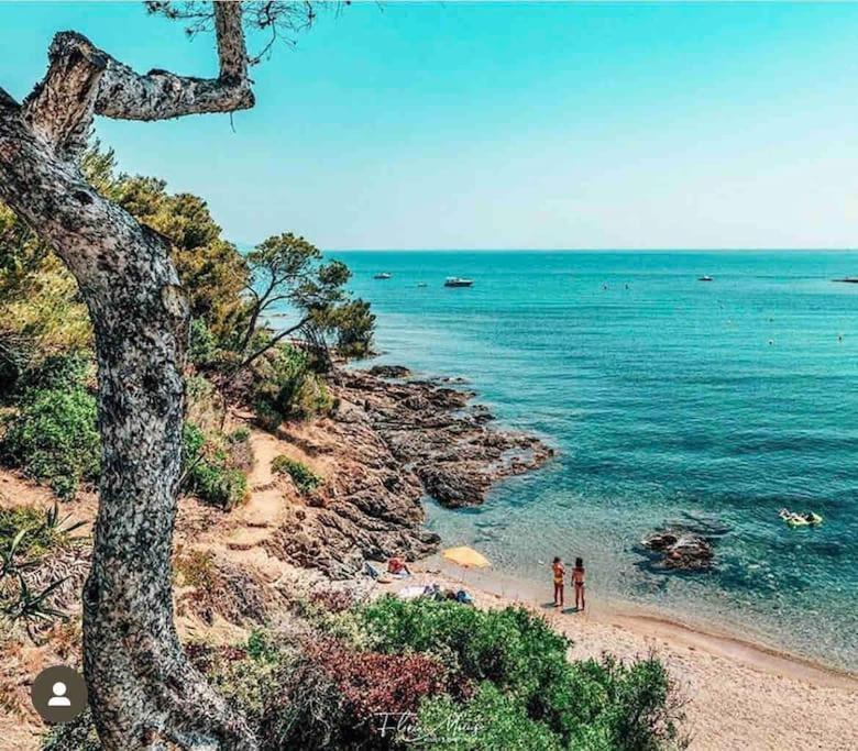 Villa Alisa Avec Piscine Privee Roquebrune-sur Argens Exteriör bild