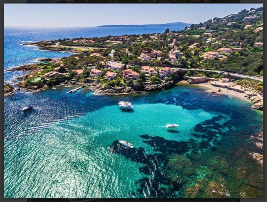 Villa Alisa Avec Piscine Privee Roquebrune-sur Argens Exteriör bild